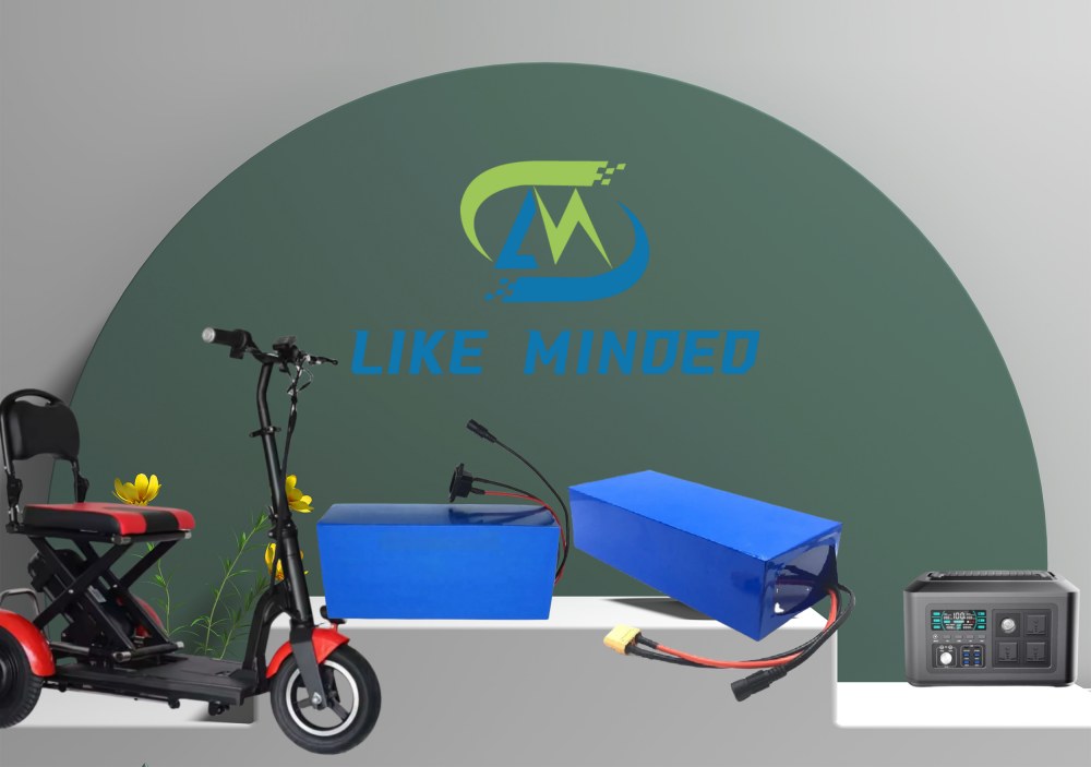 LiFePO4 Lithium Battery Pack